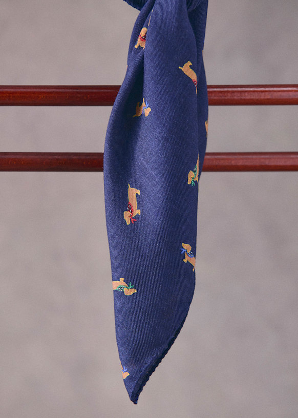 Foulard Teckel